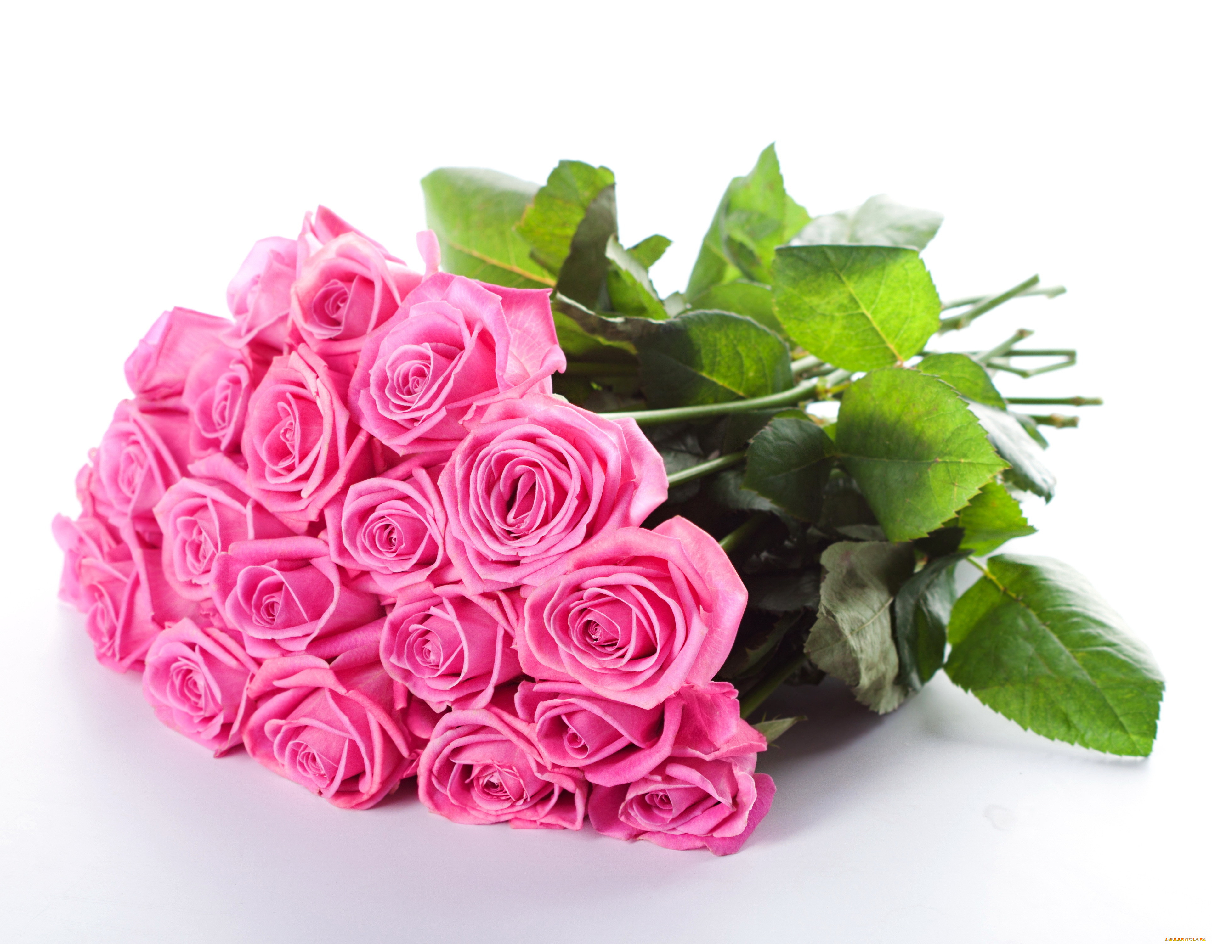 , , bouquet, beautiful, flowers, roses, pink